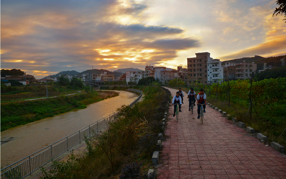 走進新農村：桂圩龍崗村夕陽歸來--邱活春.png