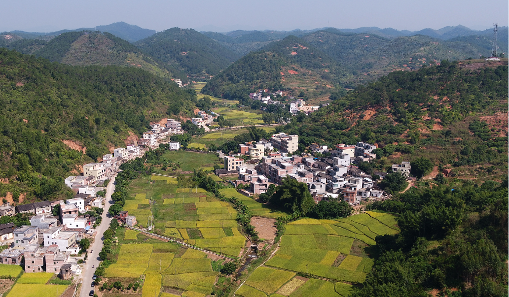 飛閱新農(nóng)村：宋桂紅棉村--黎鎮(zhèn)芳.png