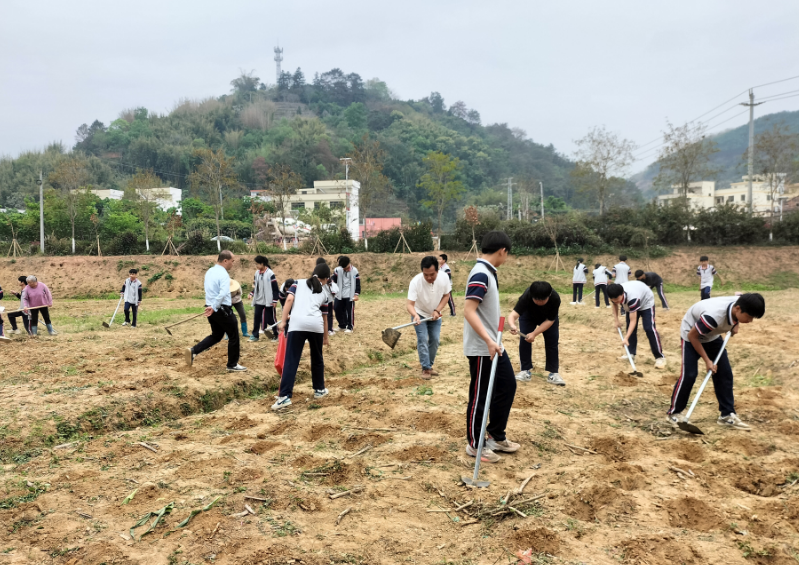桂圩鎮初級中學學子赴桂圩龍崗村勞動教育基地開展農耕實踐活動3.png