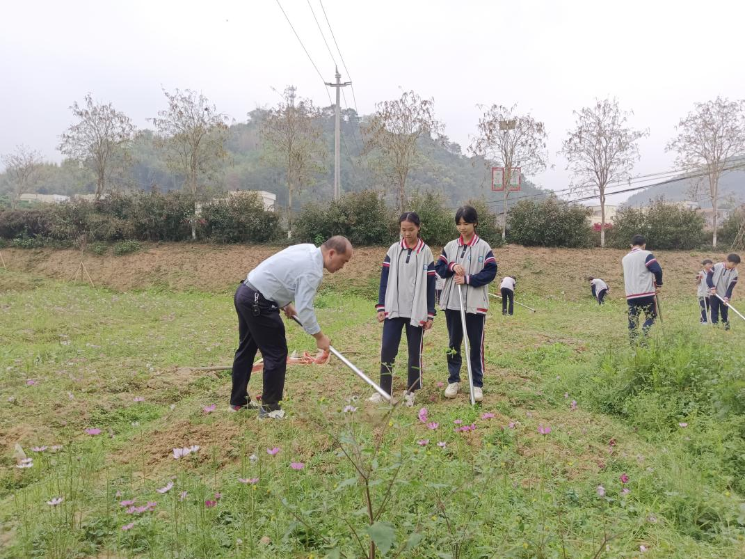 桂圩鎮初級中學學子赴桂圩龍崗村勞動教育基地開展農耕實踐活動2.png