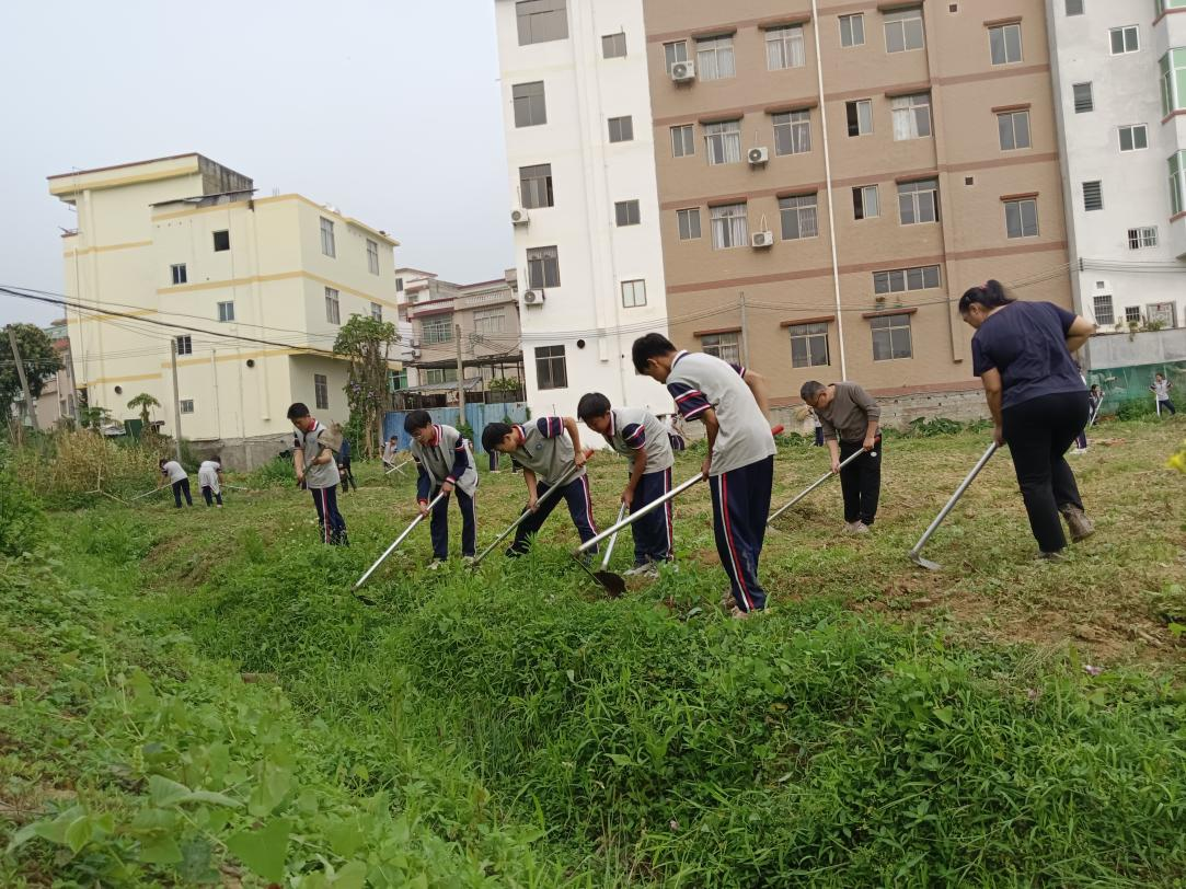 桂圩鎮初級中學學子赴桂圩龍崗村勞動教育基地開展農耕實踐活動1.png