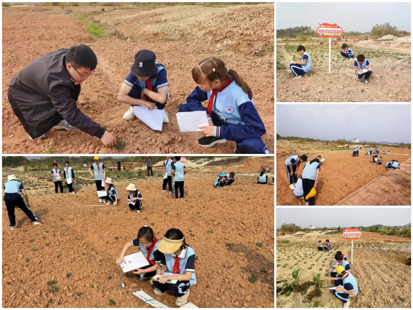田間課堂育新苗 勞動實踐促成長——都城鎮中心小學開展“農作物生長探秘”勞動實踐項目式學習活動1.jpg