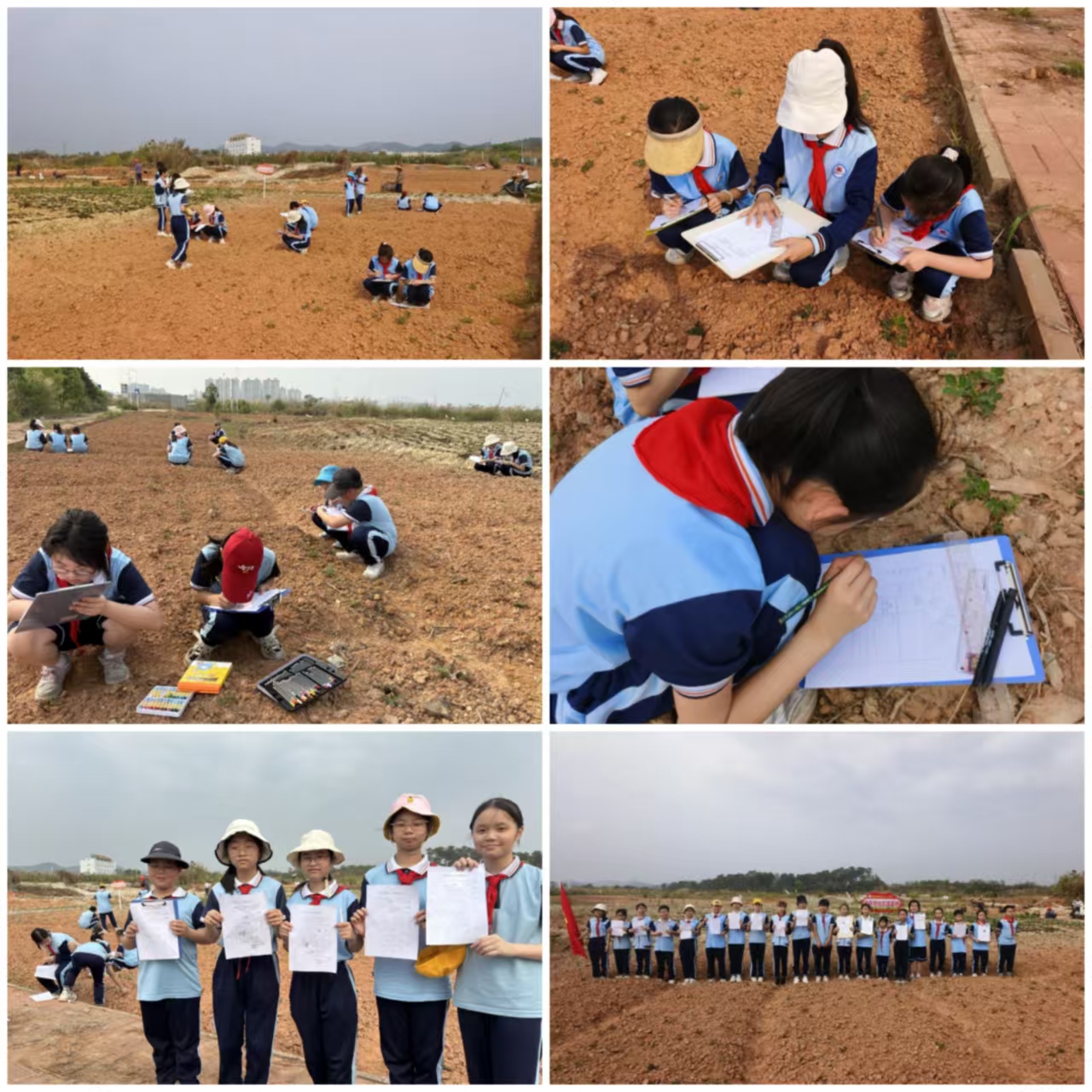 田間課堂育新苗 勞動實踐促成長——都城鎮中心小學開展“農作物生長探秘”勞動實踐項目式學習活動2.jpg