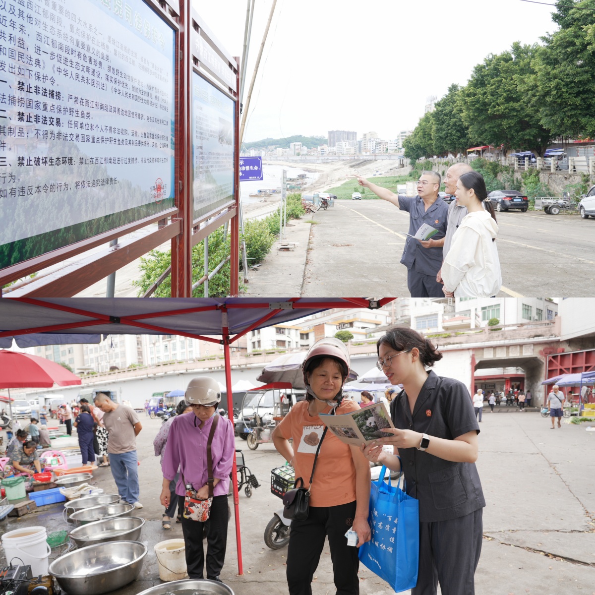 8.15生態環境保護新聞稿.docx_2